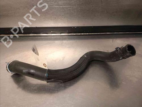 Andre MERCEDES-BENZ CITAN Box Body/MPV (W415) [2012-2021]  31012251