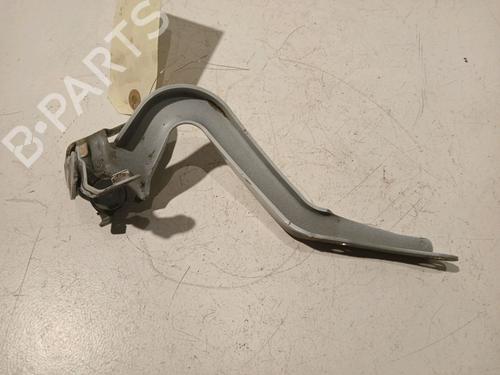Hinge/Door check strap PEUGEOT 107 (PM_, PN_) 1.0 | BP17909930C146 