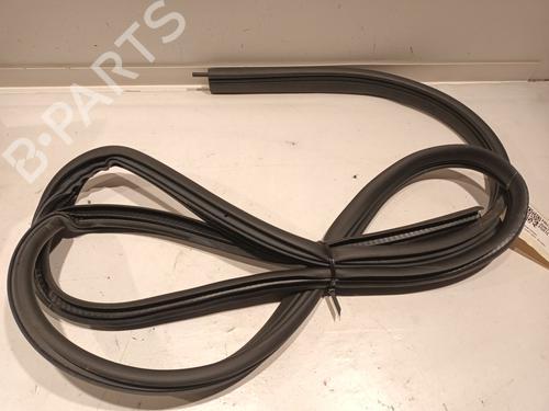 Used Rubber door seal DACIA SPRING EV (B6M1) (45 hp) 25023687