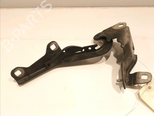 Dørhengsel/Dørstopper RENAULT LAGUNA III (BT0/1) 1.5 dCi (BT00, BT0A, BT0T, BT1J) (110 hp) 16202484