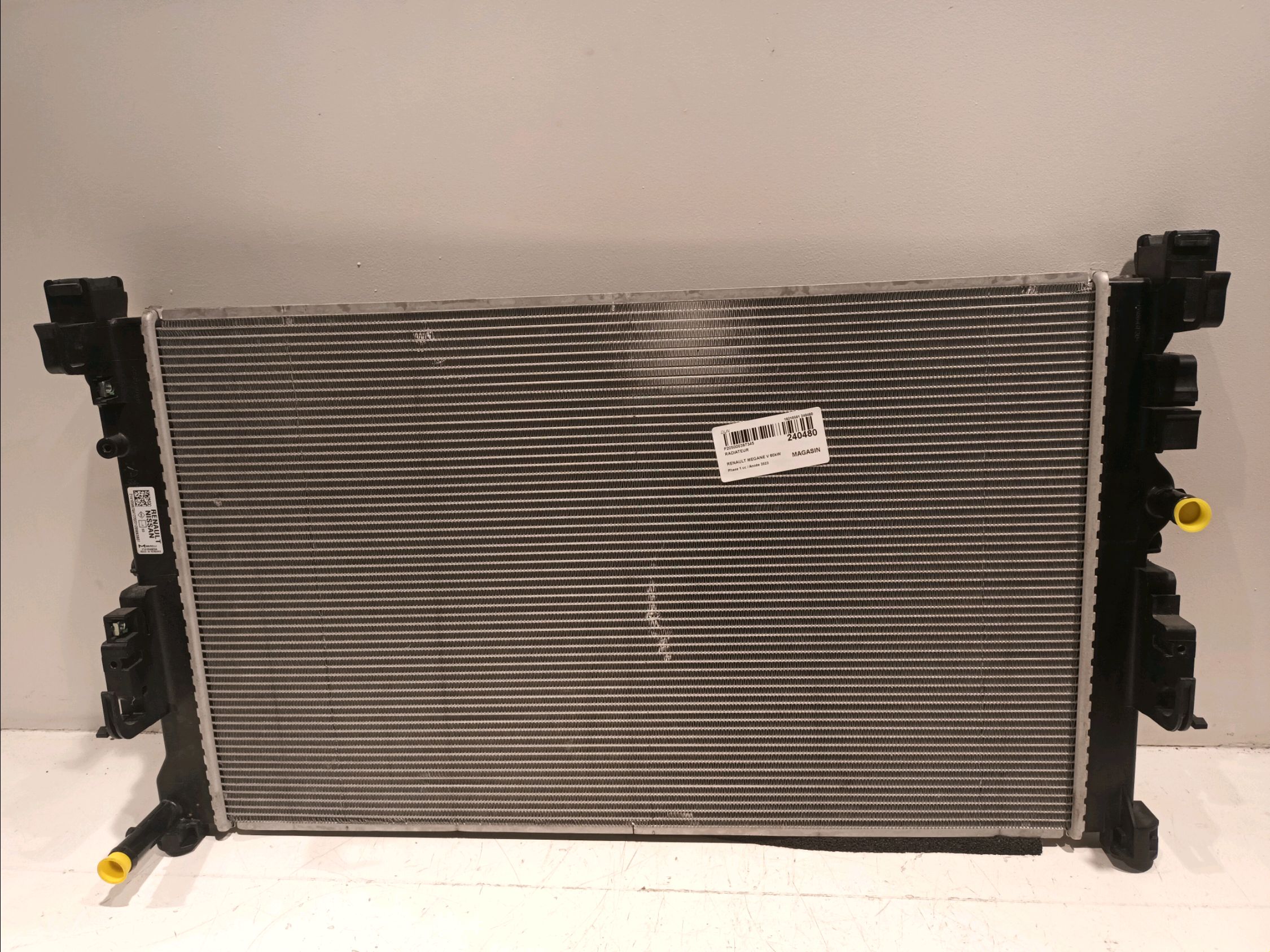 Water radiator RENAULT MEGANE E-TECH SUV EV60 (BNJ1) 18476461 | B