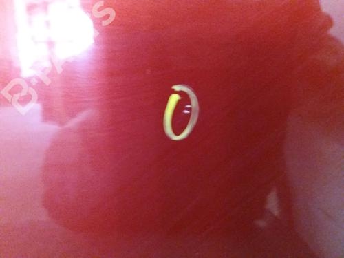 Left rear door RENAULT CLIO III (BR0/1, CR0/1) 1.5 dCi (C/BR0G, C/BR1G) | BP9513655C4 