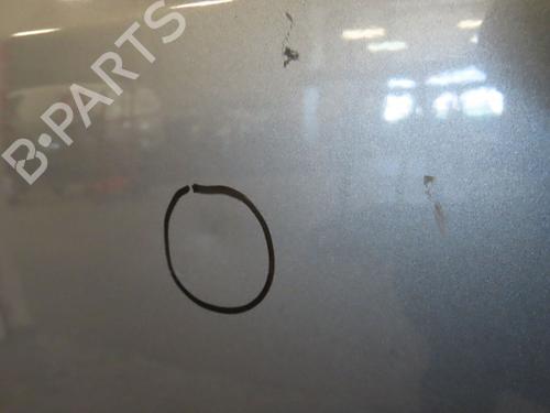 Right front door RENAULT SCÉNIC II (JM0/1_) 1.5 dCi (JM1E, JM16) | BP24103373C3 