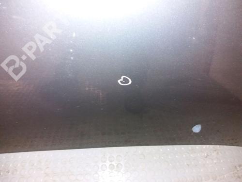 Hood CITROËN C3 I (FC_, FN_) 1.6 16V HDi | BP9382821C1 
