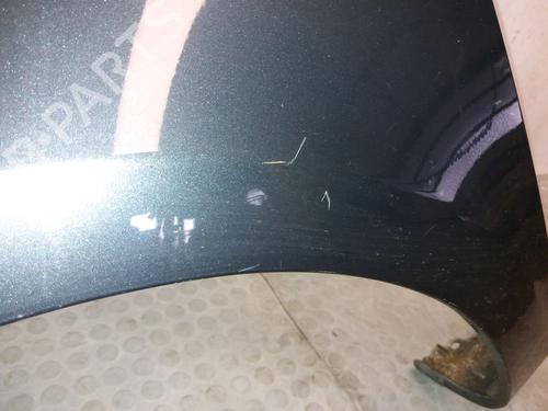 Left front fenders RENAULT CLIO III (BR0/1, CR0/1) 1.2 16V (BR02, BR0J, BR11, CR02, CR0J, CR11) | BP12234938C41