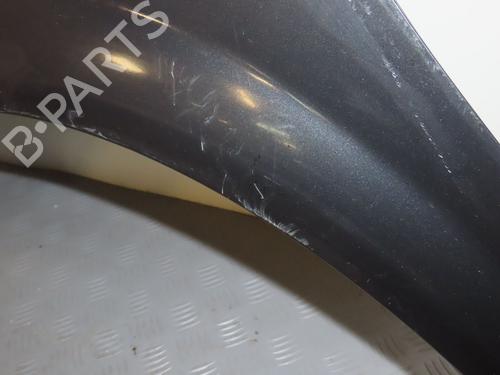 Forkjerm venstre RENAULT MEGANE II (BM0/1_, CM0/1_) 1.5 dCi (BM1E, CM1E) | BP17780542C41 