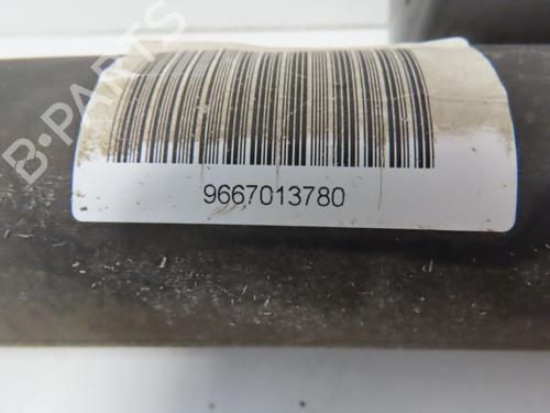 Used Left rear shock absorber CITROËN C6 (TD_) 3.0 HDi (241 hp) 30189171