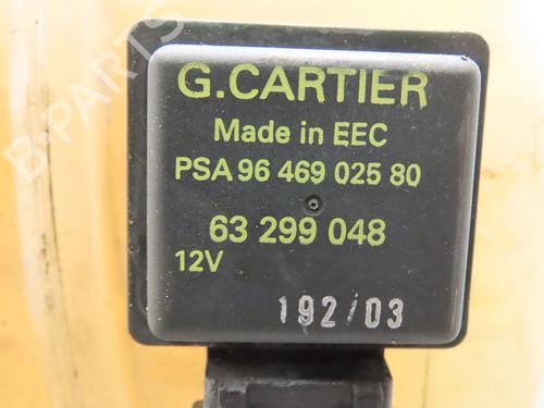 Expansion tank PEUGEOT PARTNER MPV (5_, G_) 2.0 HDI | BP17776876C120