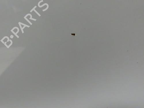 Dør venstre bagtil SUZUKI VITARA (LY) 1.4 T AllGrip (APK414) | BP32277103C4