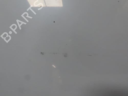 Hood PEUGEOT PARTNER Box Body/MPV 1.6 HDi 16V | BP24920144C1 