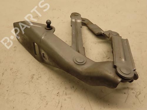 Hinge/Door check strap AUDI TT (8J3) 2.0 TFSI | BP28712291C146 