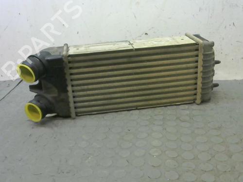 Other CITROËN BERLINGO / BERLINGO FIRST Box Body/MPV (M_) 1.6 HDI 75 (MB9HW) | BP23154086O1