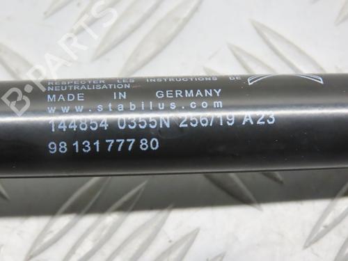 Used Tailgate lift support CITROËN C3 III (SX) 1.2 PureTech 82 (83 hp) 31276536