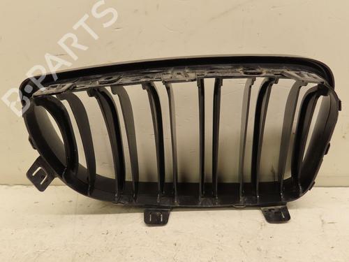 Used Grille BMW 1 (E87) 118 d (122 hp) 29468892