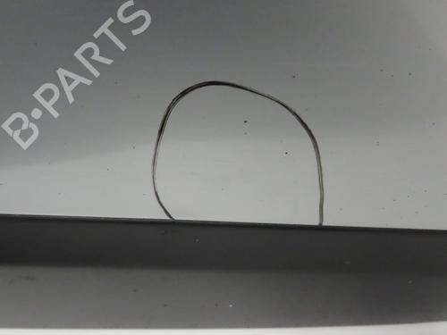 Right front door RENAULT SCÉNIC III (JZ0/1_) 1.5 dCi | BP29643746C3 
