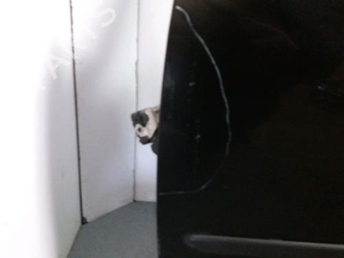 Used Left front door FIAT GRANDE PUNTO (199_) 1.3 D Multijet (75 hp) 9388977