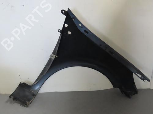Left front fenders RENAULT CLIO III (BR0/1, CR0/1) 1.5 dCi (BR17, CR17) | BP23155034C41