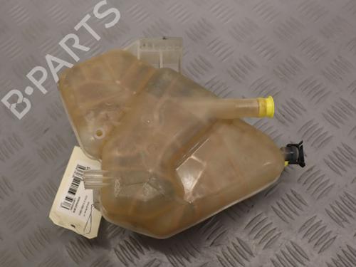 Ekpansionstank Ekpansionstank FORD FIESTA VI (CB1, CCN) 1.0 EcoBoost (100 hp) 36482844 36482844