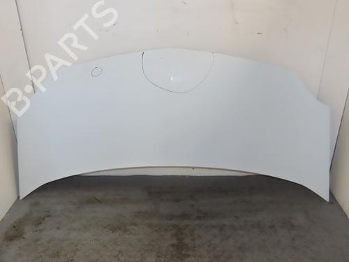 Used Hood RENAULT KANGOO Express (FW0/1_) 1.5 dCi 85 (FW0K, FW0L, FW0B) (86 hp) 23647214