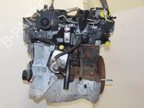 Engine RENAULT KANGOO III Box Body/MPV 1.5 Blue dCi 75 (FJAA) | BP40438474M1  - Image 5