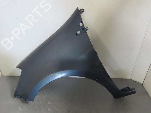 Left front fenders RENAULT CLIO III (BR0/1, CR0/1) 1.5 dCi (BR17, CR17) | BP23155034C41