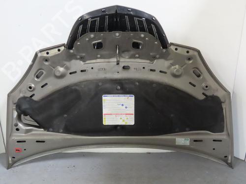 Used Hood LANCIA MUSA (350_) 1.3 D Multijet (350.AXG11, 350.AXG1A) (90 hp) 17780617