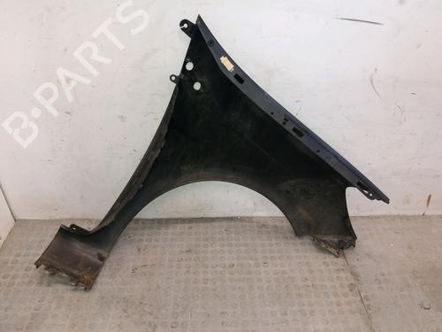 Left front fenders RENAULT CLIO III (BR0/1, CR0/1) 1.2 16V (BR02, BR0J, BR11, CR02, CR0J, CR11) | BP12234938C41