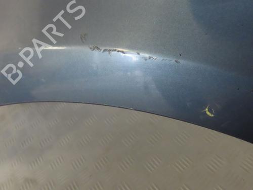 Left front fenders RENAULT CLIO III (BR0/1, CR0/1) 1.5 dCi (BR17, CR17) | BP23155034C41