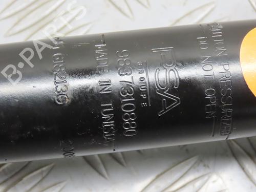 right-rear-shock-absorber-citroen-ami-9a_-2020-36482928 main image
