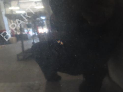 BP21135922C1 main image