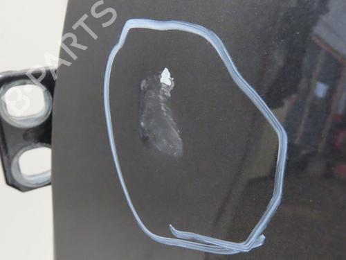 Left front door FIAT 500L (351_, 352_) 1.6 D Multijet (199LYE1B) | BP29170781C2