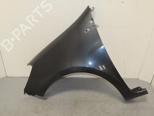 Left front fenders RENAULT CLIO III (BR0/1, CR0/1) 1.6 16V (BR05, BR0B, BR0Y, BR15, BR1J, BR1M, BR1Y, CR0B,... | BP24534665C41 