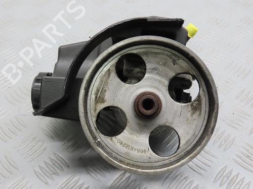 steering-pump-citroen-berlingo-berlingo-first-box-bodympv-m_-1996-1997-1998-1999-2000-2001-2002-2003-2004-2005-2006-2007-2008-2009-2010-2011-30047897 main image