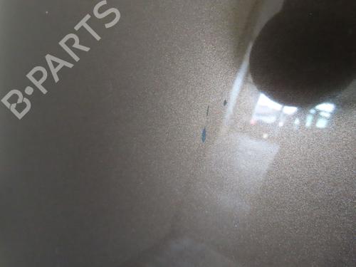 Hood RENAULT SCÉNIC III (JZ0/1_) 1.9 dCi (JZ0J, JZ1J, JZ1K, JZ1S) | BP18076681C1