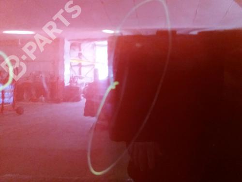 Left rear door RENAULT CLIO III (BR0/1, CR0/1) 1.5 dCi (C/BR0G, C/BR1G) | BP9513655C4 