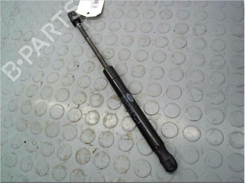 Used Hood lift support LAND ROVER RANGE ROVER EVOQUE (L538) 2.2 D 4x4 (150 hp) 14885897