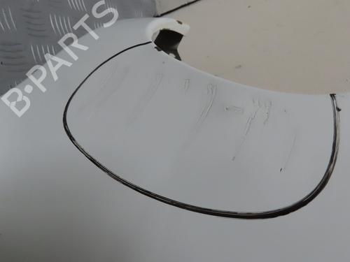 Left front fenders RENAULT MASTER II Van (FD) 2.5 D (FD0A, FD0E, FD2E, FD3E) | BP24821884C41 