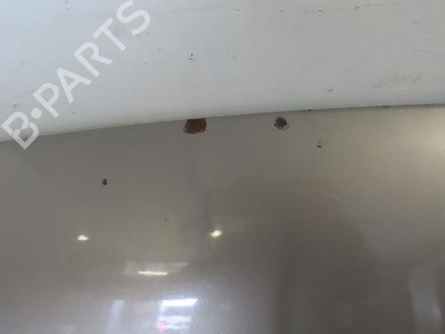 Hood CITROËN BERLINGO / BERLINGO FIRST MPV (MF_, GJK_, GFK_) 2.0 HDI 90 (MFRHY) | BP18076682C1 