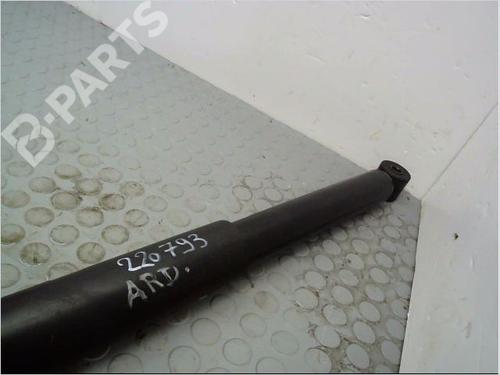 Right rear shock absorber RENAULT CLIO III (BR0/1, CR0/1) 1.5 dCi | BP10225517M19 