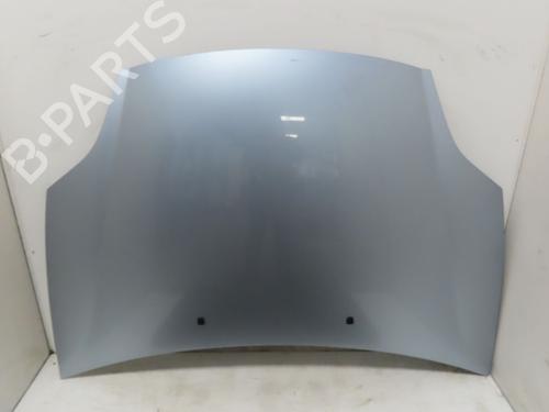 Used Hood FIAT BRAVO II (198_) 1.4 (198AXA1B) (90 hp) 32376860