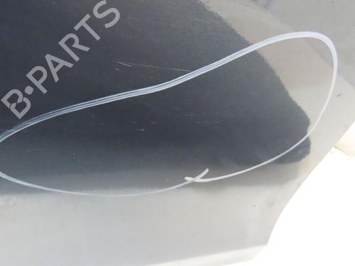 Left front door RENAULT CLIO III (BR0/1, CR0/1) 1.5 dCi (C/BR0G, C/BR1G) | BP29643752C2 