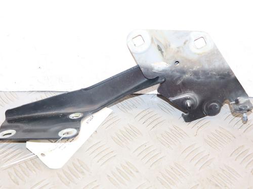 hingedoor-check-strap-renault-megane-iii-coupe-dz01_-2008-2009-2010-2011-2012-2013-2014-2015-2016-37874383 main image