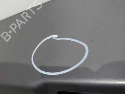 Tailgate RENAULT CLIO III (BR0/1, CR0/1) 1.5 dCi (C/BR0G, C/BR1G) | BP29643833C6 