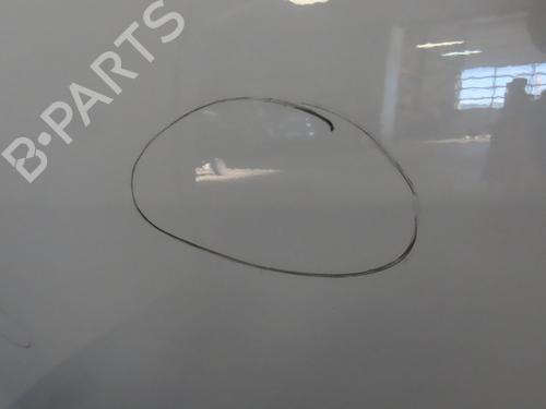 Left front door RENAULT SCÉNIC III (JZ0/1_) 1.5 dCi (JZ02, JZ0R) | BP23898333C2 