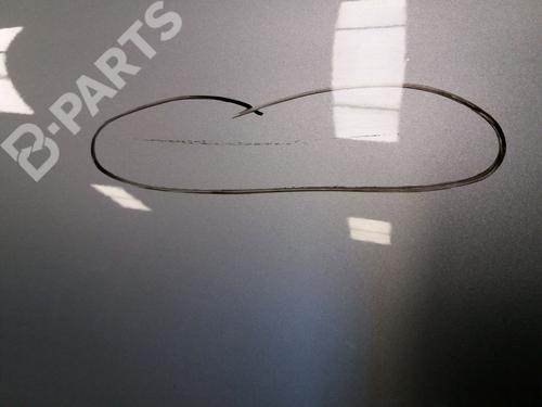 Dør venstre bak RENAULT MEGANE II (BM0/1_, CM0/1_) 1.5 dCi (BM1E, CM1E) | BP11833036C4