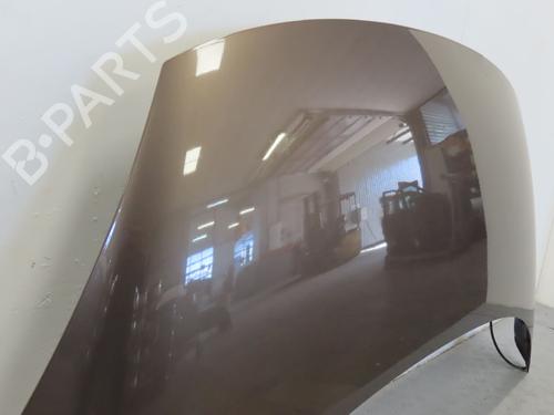 Hood RENAULT SCÉNIC III (JZ0/1_) 1.9 dCi (JZ0J, JZ1J, JZ1K, JZ1S) | BP17780666C1