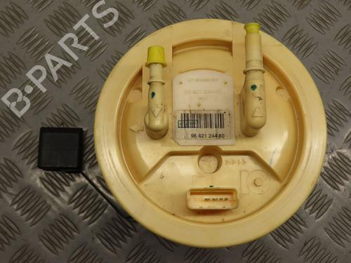 Fuel pump PEUGEOT 206+ (2L_, 2M_) 1.4 HDi eco 70 | BP21755678M76 