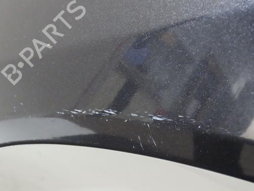 Left front fenders PEUGEOT 306 Hatchback (7A, 7C, N3, N5) 1.9 D | BP29601318C41