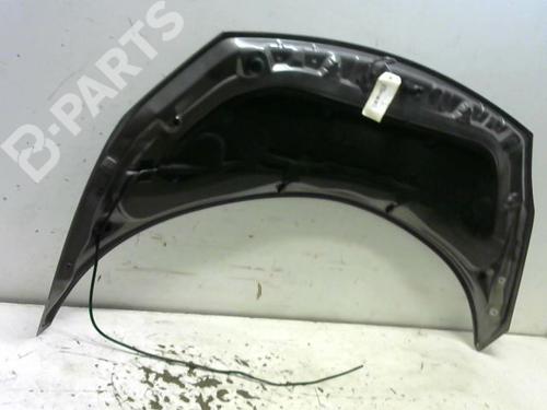 Hood RENAULT SCÉNIC II (JM0/1_) 1.9 dCi (JM0G, JM12, JM1G, JM2C) | BP9374941C1 