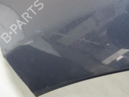 Left front fenders RENAULT CLIO III (BR0/1, CR0/1) 1.5 dCi (C/BR0G, C/BR1G) | BP29643710C41 